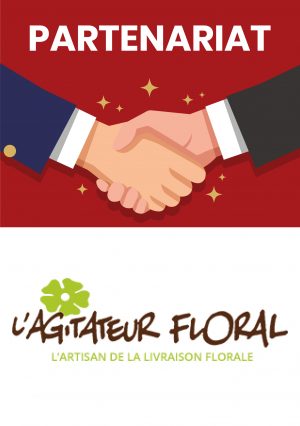 🌼Agitateur Floral: Livraison fleurs naturelles🌼
